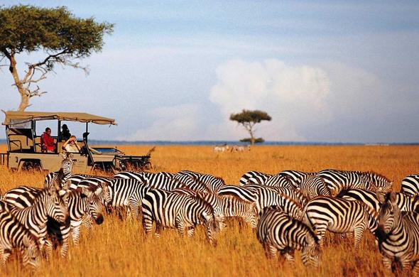 Tsavo Plains